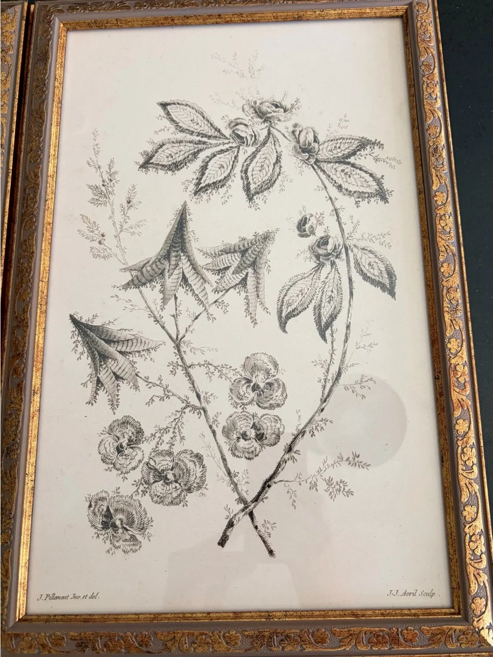 Petal Lane Framed Botanical Wall Art Pair in Gold and Black